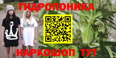 spice Ипатово