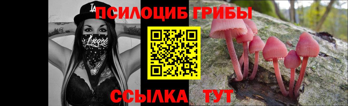 Галлюциногенные грибы мухоморы Минеральные Воды